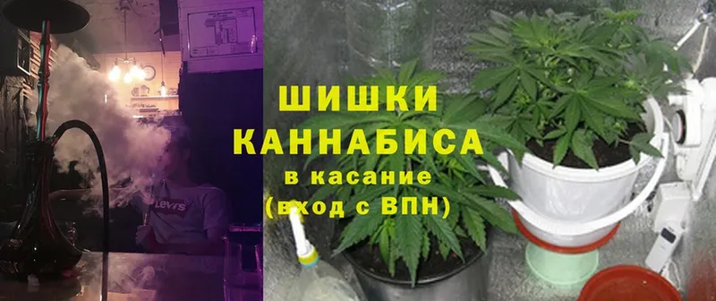 Конопля White Widow  Нариманов 